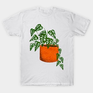 Monstera adansonii T-Shirt